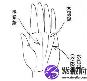 说说健康线★掌纹手相★
